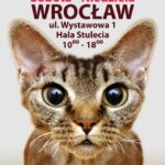 Wystawa kotów rasowych Wrocław marze 2015